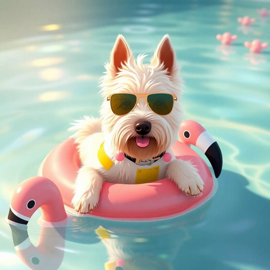 Lemonade Days & Flamingo Ways: A Summer Note