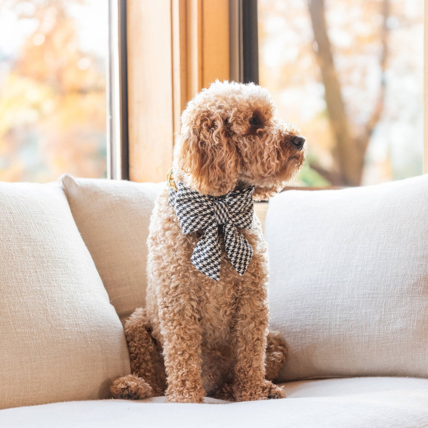 Houndstooth Flannel Fall Lady Dog Bow