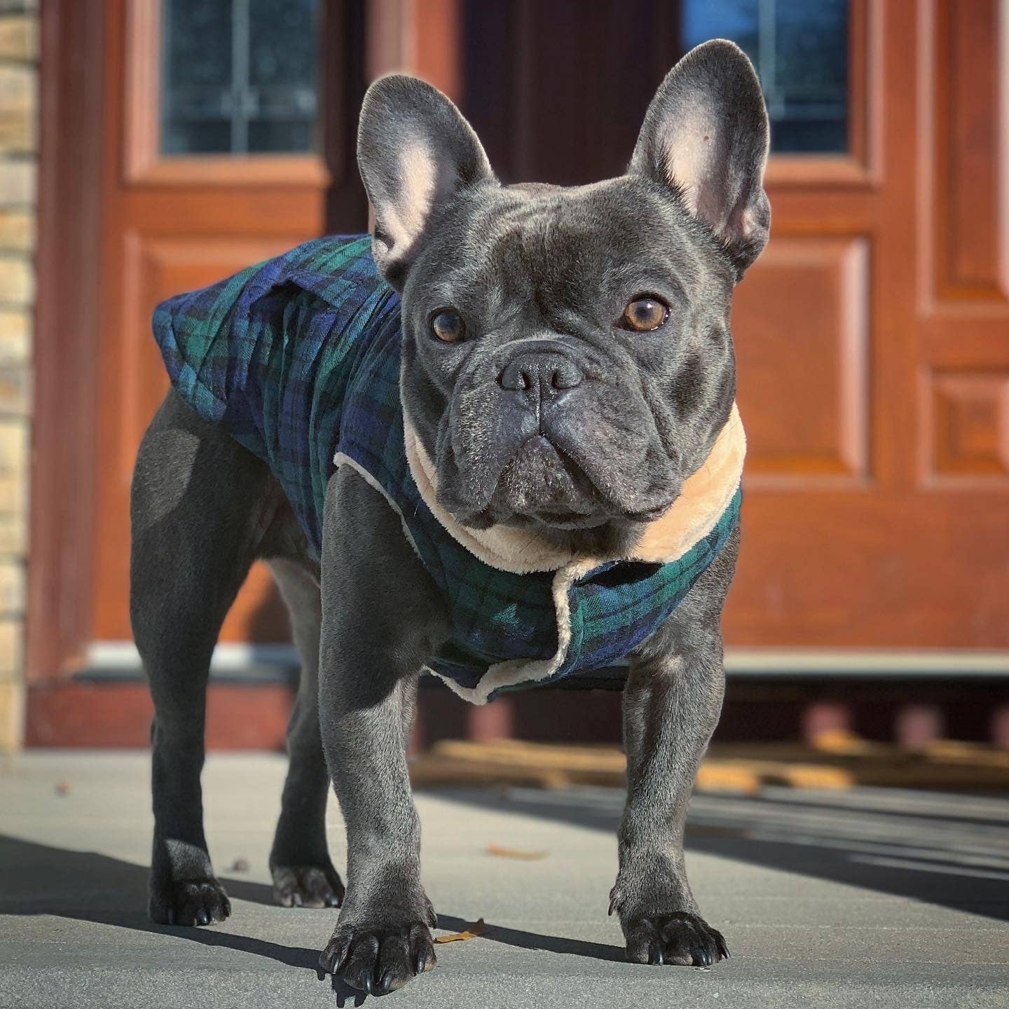 Scottish Jacket Green