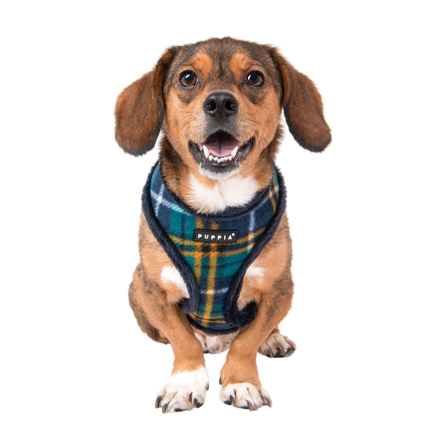 PLAID HARNESS (ADJUSTABLE STRAPS, FLEECE LINING, & LOCATER TAG)