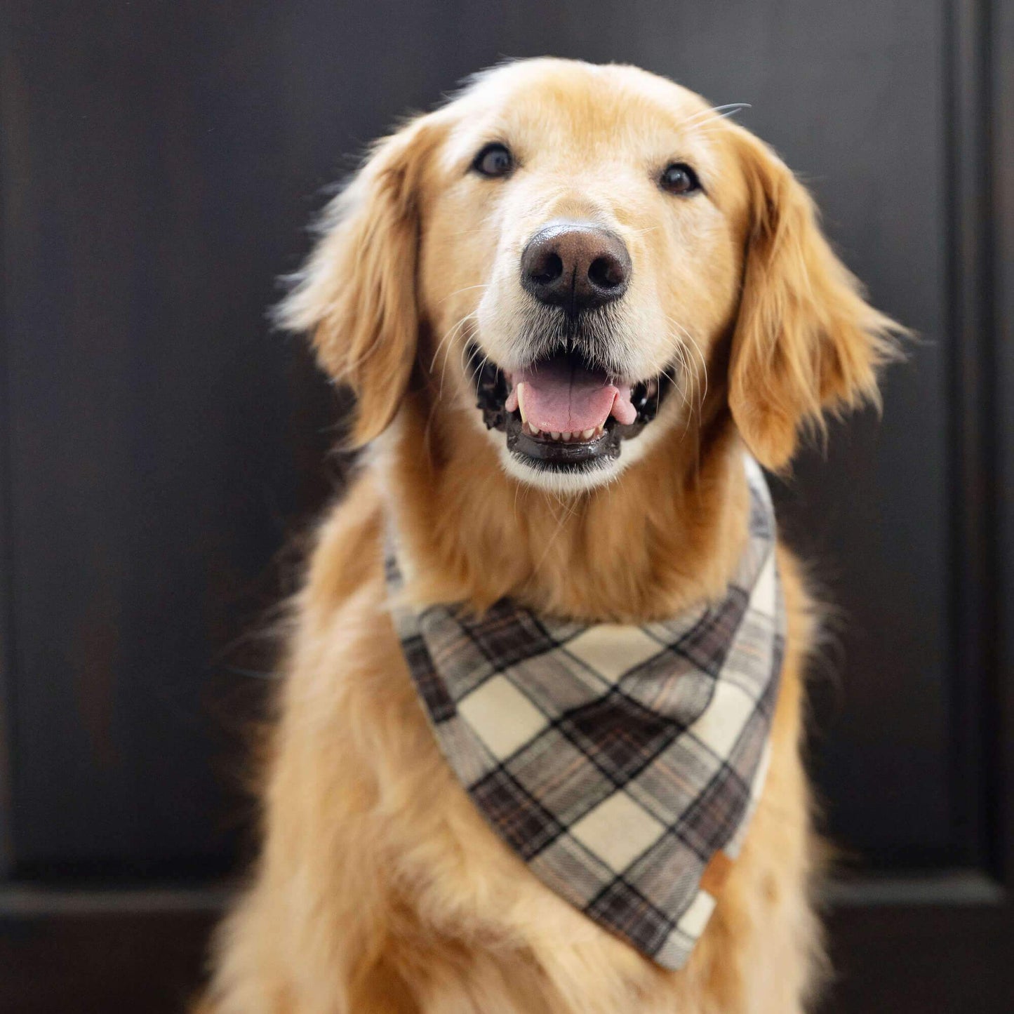 Chestnut Plaid Flannel Fall Dog Bandana