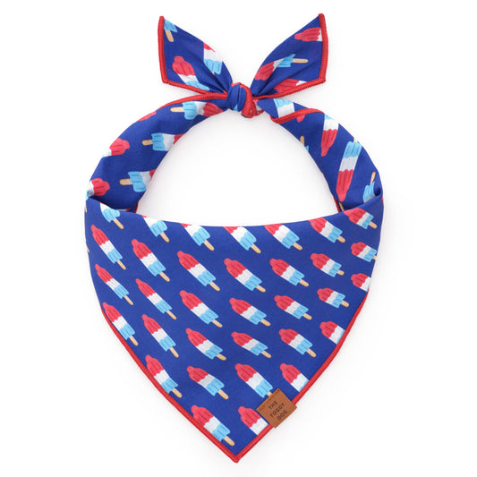 Rocket Pop 4th of July Summer Dog Bandana