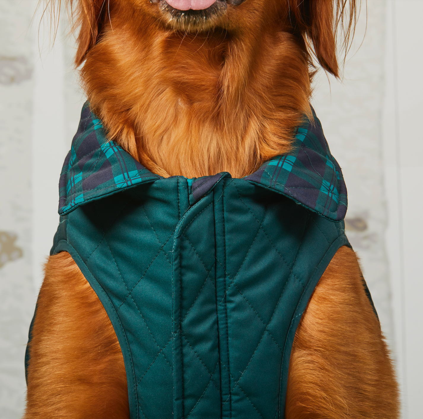 Black Watch Plaid Reversible Dog Jacket