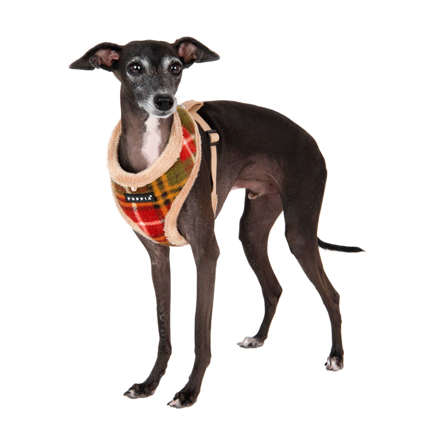 NORMAN DOG HARNESS OVER-THE-HEAD ADJUSTABLE PLAID