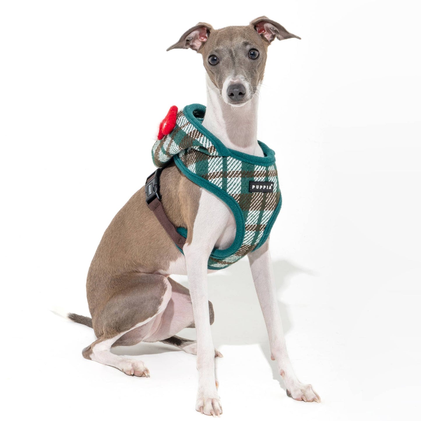 FESTIVE PLAID DOG HARNESS (OVER-THE-HEAD, ADJUSTABLE, FLEECE)