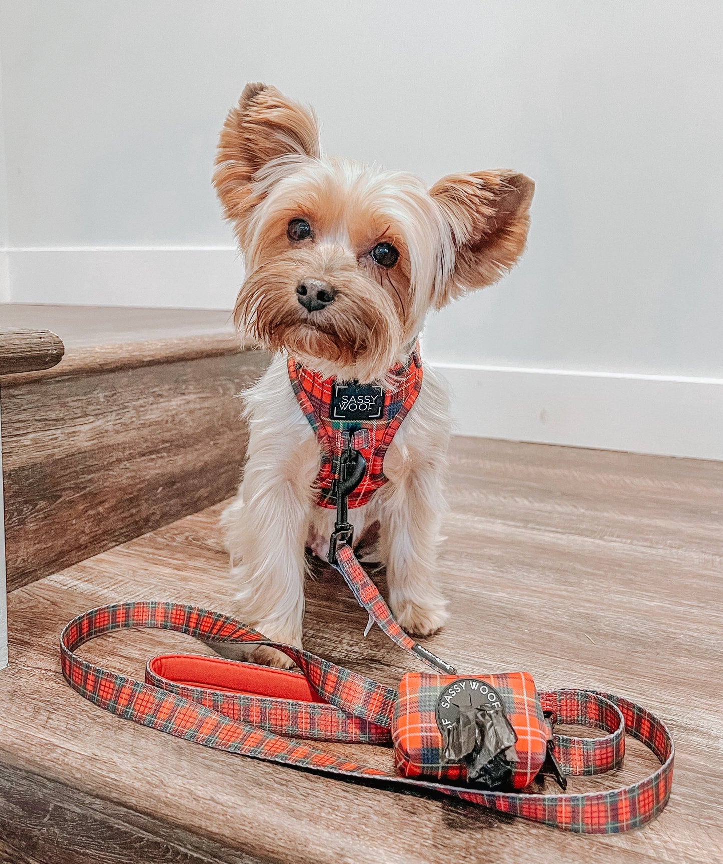 Dog Adjustable Harness - Deck the Paws