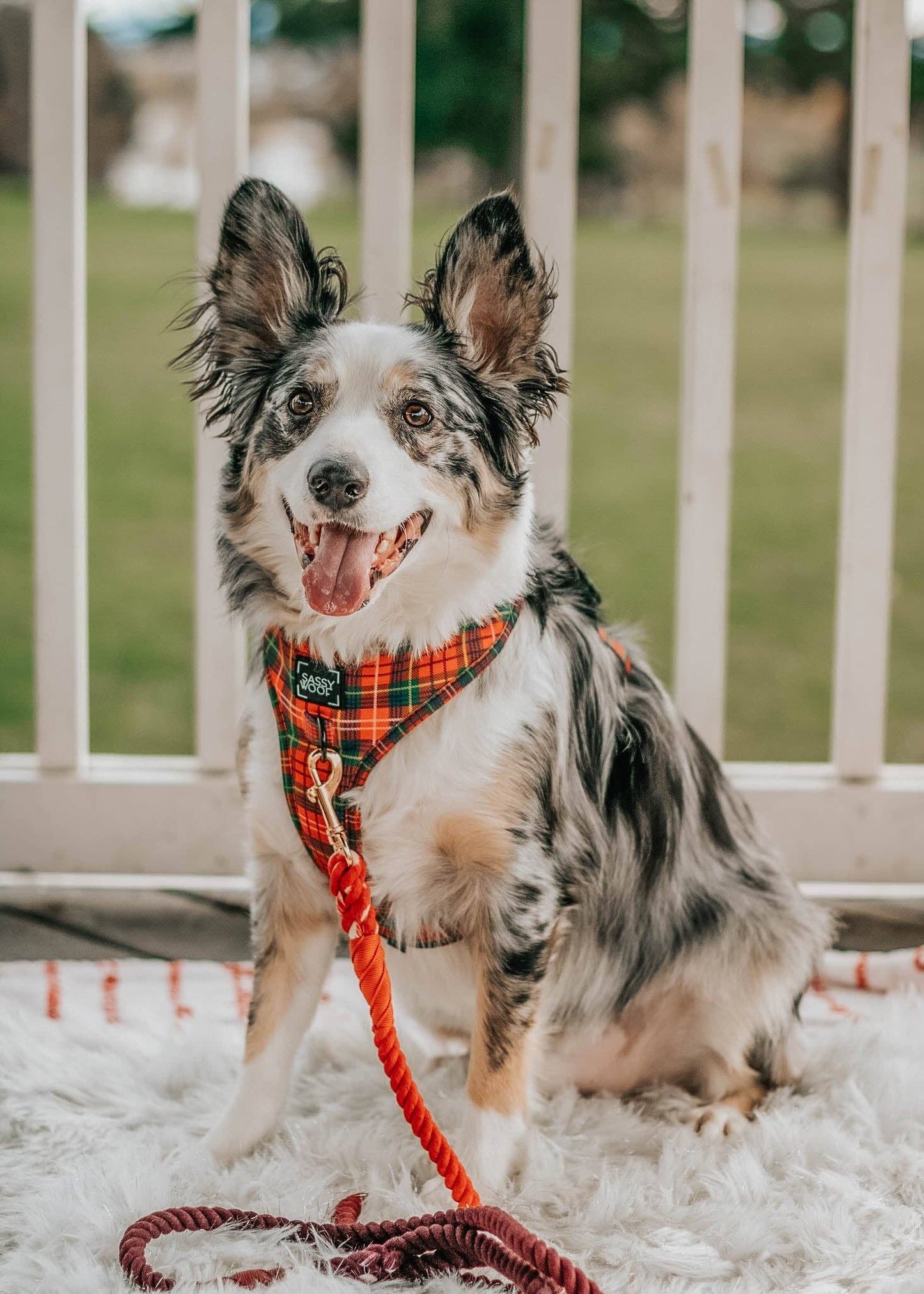 Dog Adjustable Harness - Deck the Paws